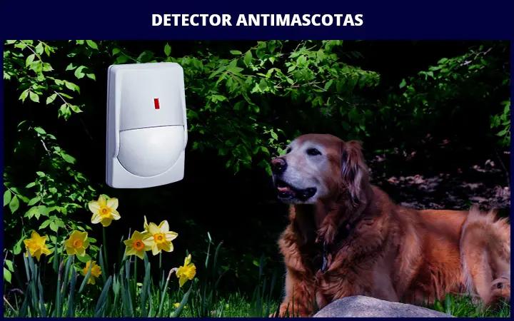 Detector Antimascotas